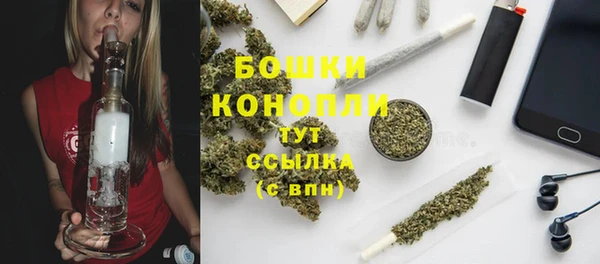 Альфа ПВП Аркадак