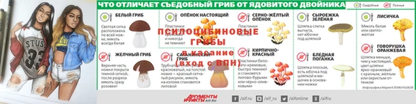 Альфа ПВП Аркадак