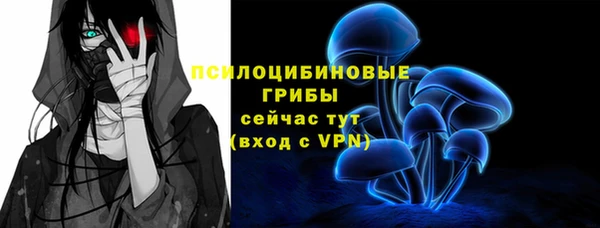 стаф Армянск