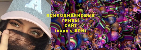 Альфа ПВП Аркадак