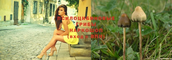 стаф Армянск