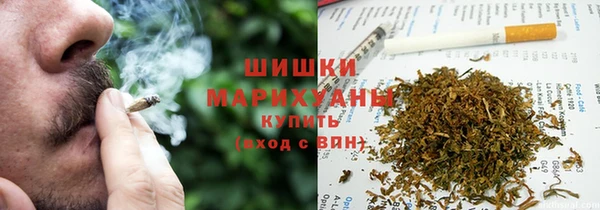 Альфа ПВП Аркадак